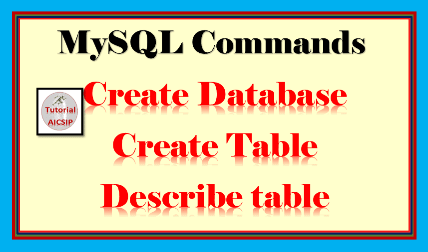 Create MySQL Database Class 11