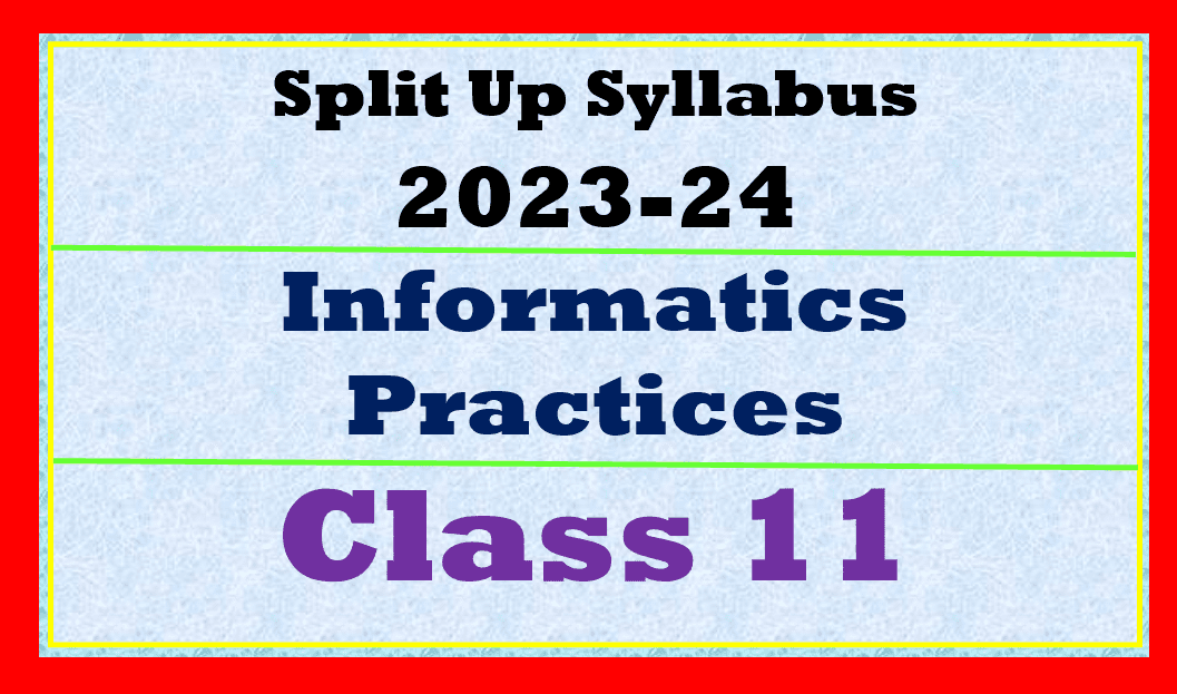 Split up Syllabus Informatics Practices Class 11
